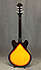 Epiphone DOT