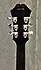 Epiphone DOT