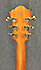 Ibanez Pat Metheny PM200