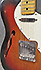 Fender Telecaster Thinline de 1969 Mahogany Refin