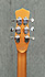 Danelectro 59 Copper