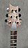 PRS Custom 24 Artist Package de 2010