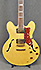 Epiphone Sheraton II CB Pickup