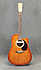 Art & Lutherie Cedar Antique Burst CW Micro LR Baggs M1