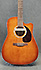 Art & Lutherie Cedar Antique Burst CW Micro LR Baggs M1