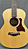 Taylor GS Mini E Ltd Ovengkol