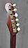 James Trussart Steelcaster