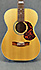 Maton EBG 808te