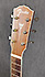 Fender PM 2