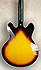 Epiphone DOT