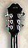 Epiphone DOT