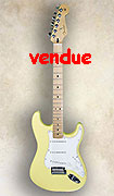 Fender Stratocaster Player Series