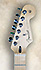 Fender Stratocaster Player Series
