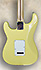 Fender Stratocaster Player Series