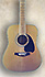 Ibanez M340