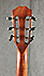 Taylor 322E 12 frets