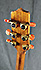 Takamine TAN15C