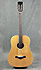 Ibanez AVD1 NT