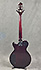 Samick Greg Bennet AV-1