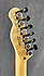 Fender Telecaster Jim Adkins