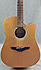 Takamine EGS330SC