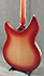 Rickenbacker 330 FG Fireglow