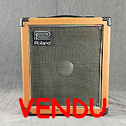 Roland Cube 100