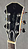 Sire Larry Carlton H7