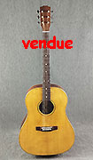 Vendramini Dreadnought