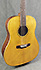 Vendramini Dreadnought