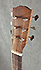 Vendramini Dreadnought