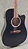 Art & Lutherie CW Cedar Black EQ