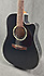 Art & Lutherie CW Cedar Black EQ