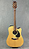 Takamine EG340 SC NS