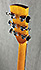 Ibanez PF40