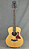 Taylor GS Mini