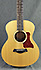 Taylor GS Mini
