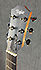 Taylor GS Mini