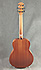 Taylor GS Mini