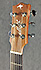 Maton EG808 Tommy Emmanuel