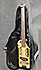 Traveller Guitar Pro Serie