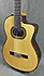 Takamine Hirade TH90