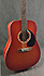 Art & Lutherie Cedar