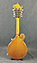 Epiphone MM50E