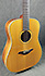 Furch D22