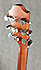 Furch D22
