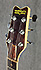 Washburn Falcon