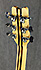 Washburn Falcon