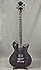 Washburn W66ANC