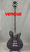 Washburn W66ANC